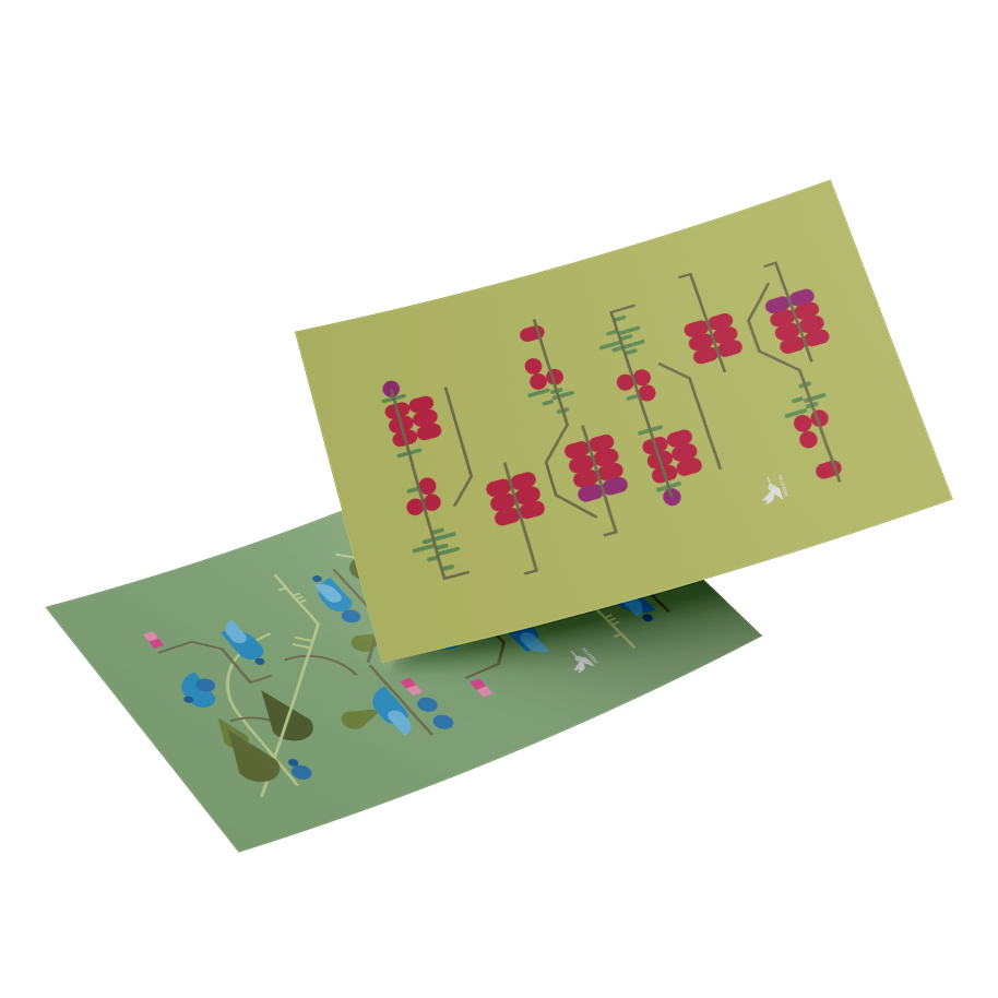 کارت پستال بهار تازه